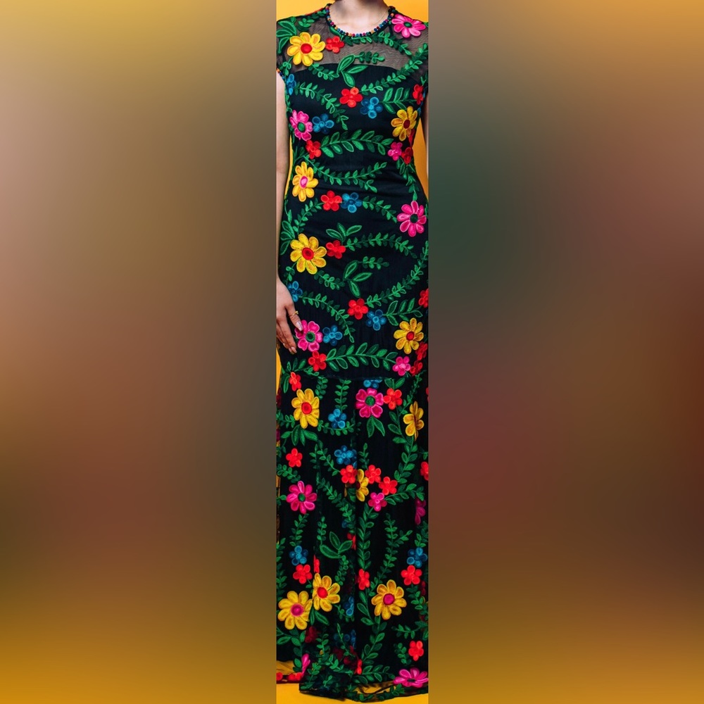 Floral embroidered dress BASIX label